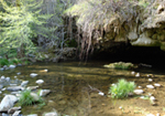 Natural Bridges