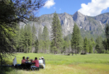 Picnic at Yosemite