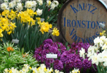 Ironstone Winery